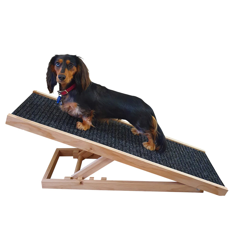 Dog Ramp