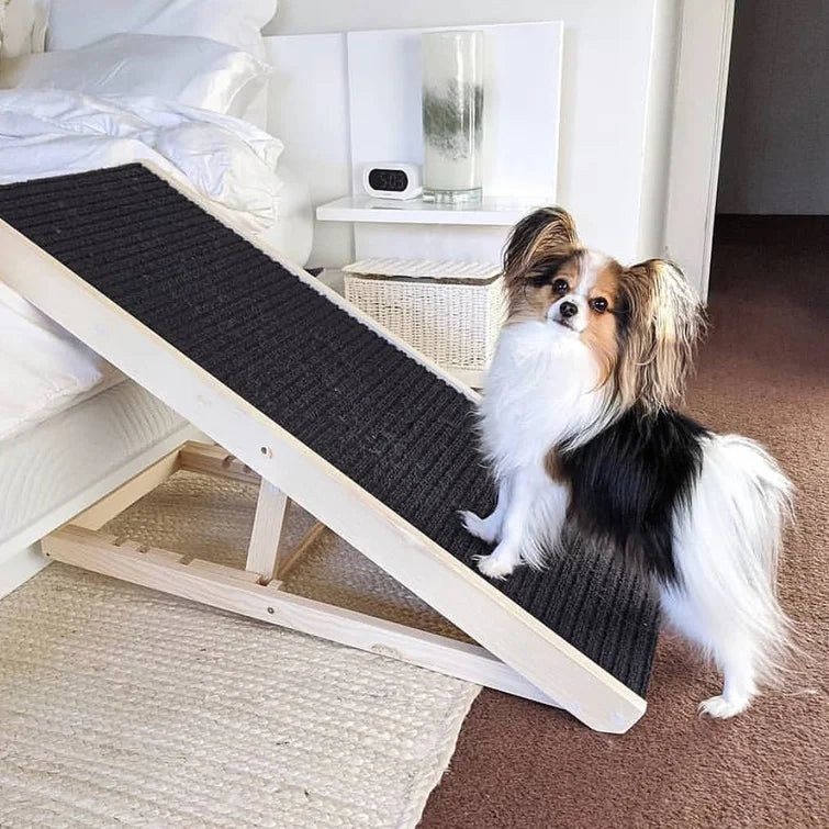 Dog Ramp