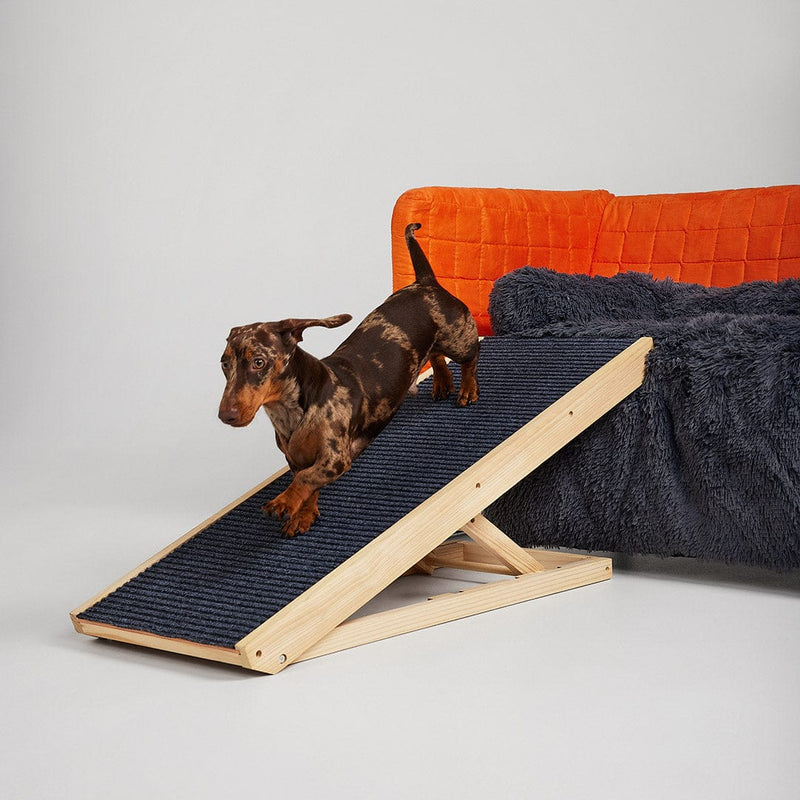 Dog Ramp